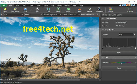 NCH Photo Pad Image Editor Pro 9.84 Crack & Serial Key Free Download 2022